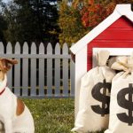 ¿Cuánto dinero cuesta mantener a un perro?