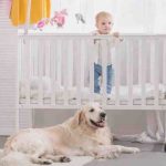 Los perros protegen a tu hijo: causas, instinto y responsabilidad del propietario