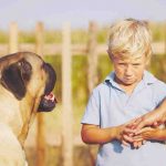 El perro ataca a los niños: causas, remedios y consejos útiles