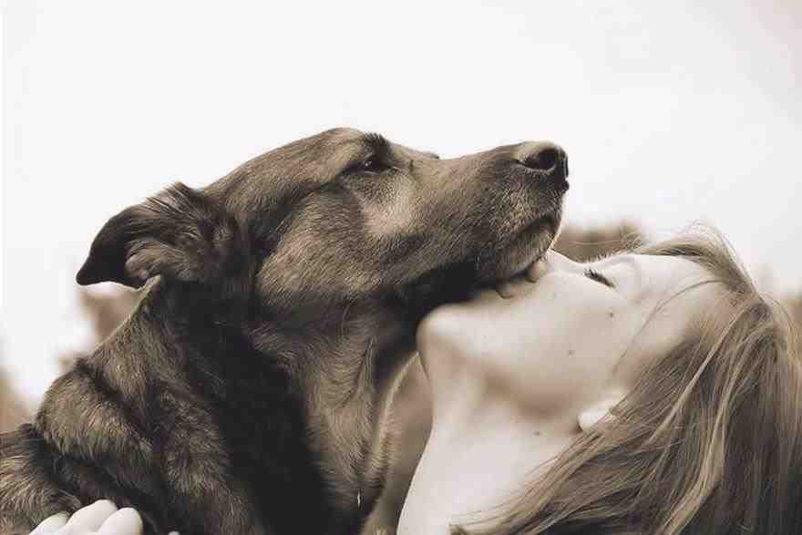 besos a los riesgos de los perros