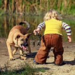 Comportamiento animal, cómo ayudar a un perro que tiene miedo a los niños