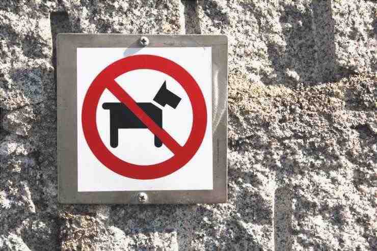 Prohibición de perros