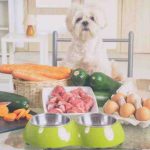 Hígado de pollo para el perro: recetas para perros anémicos