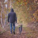 passeggiare-in-autunno-con-il-cane-come-fare-quando-piove-e-fa-freddo-foto-pixabay-1.jpg