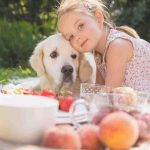 ¿Pueden los perros comer melocotones? Toda la verdad sobre esta fruta de verano