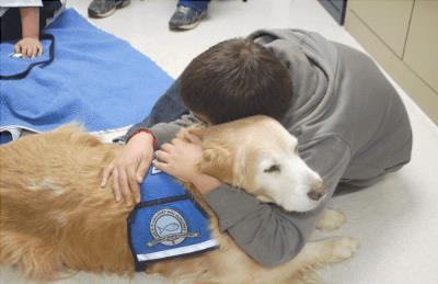 terapia con mascotas