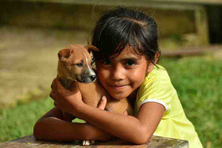 El cachorro y la niña (Foto: Pixabay)