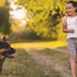 Los perros sincronizan su comportamiento no sólo con los adultos