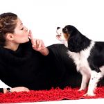 Cómo enseñar a tu perro a no ladrar en casa