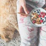 El gato puede comer frambuesa? La palabra a los expertos