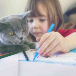 Gato y niños en la familia: cómo compartir la tarea