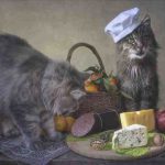 gatto-puo-mangiare-la-bresaola.jpg