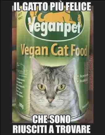 gatos con dieta vegana