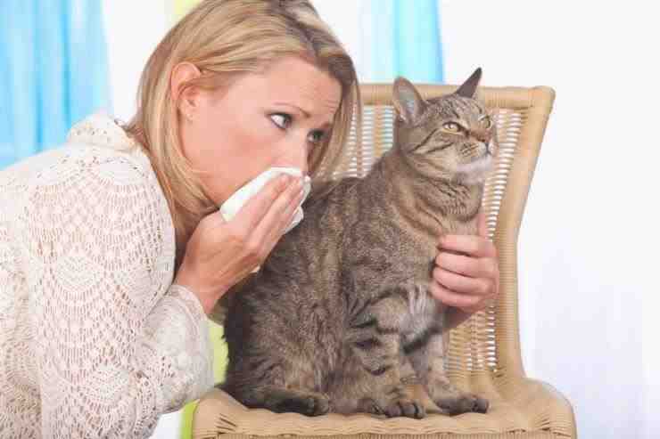 alergia a los gatos