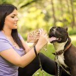 Uso del bozal: Cómo habituar a mi perro